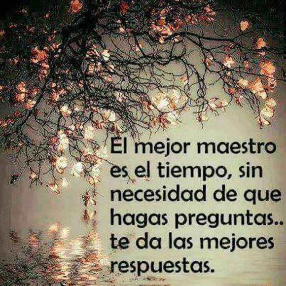 garciamunoz12
